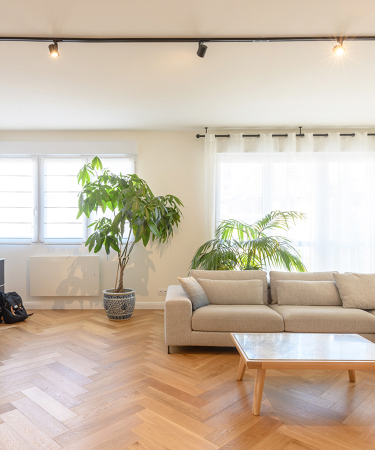 renovation batiment strasbourg